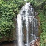 16 year old minor suspected to have killed Nairobi Hospital Finance boss detained for three weeks.