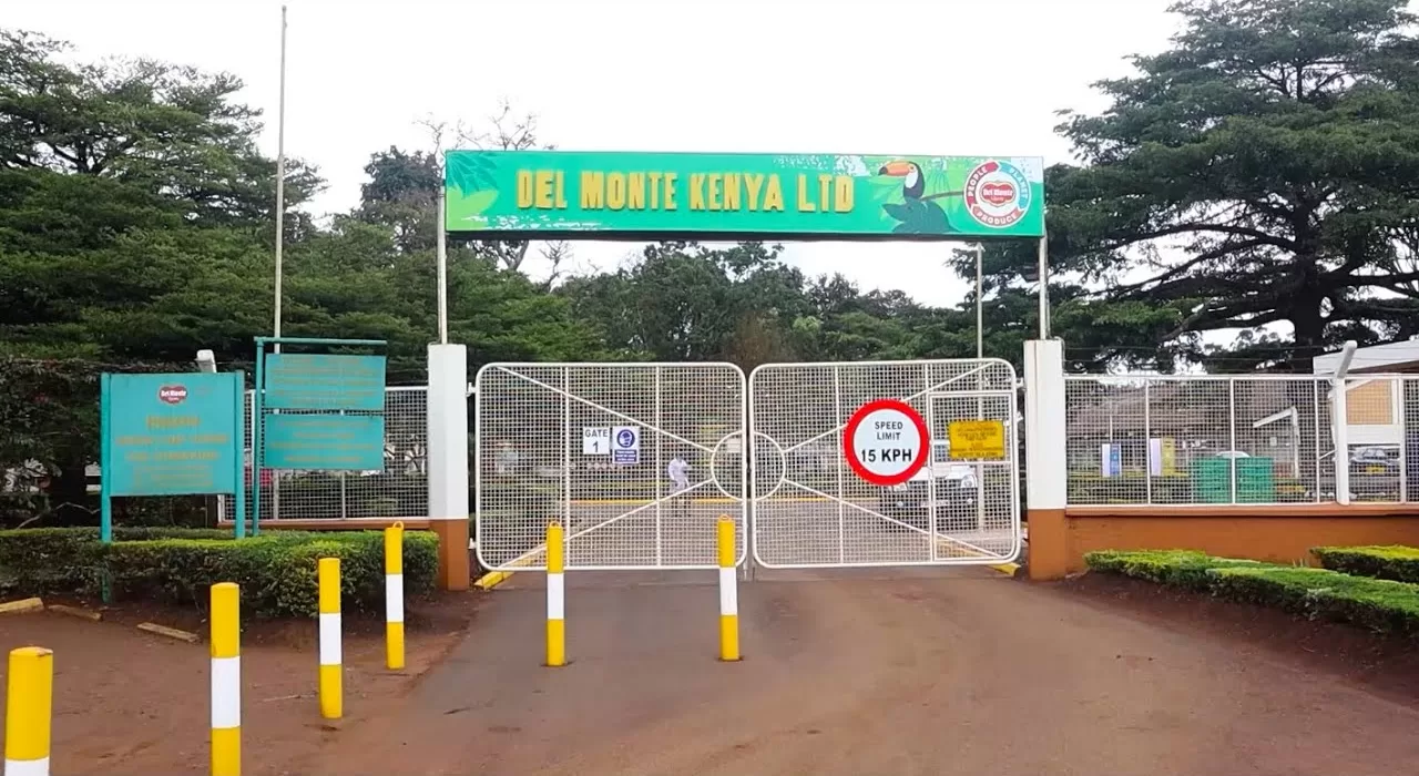 The high court on Thursday dismissed a case that had sensationally accused US Multinational Del Monte of killing and assaulting locals in its vast pineapple plantation in Kenya.