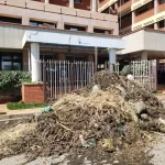 Reprieve for Prof Anangwe as Court Halts His Removal From UON Council