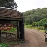 4 Prominent Lawyers Who Defended Pastor Ezekiel Now Fighting to Save Magistrate Atambo .