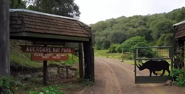 Aberdare National Park