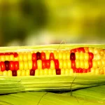 8 Kenyans Sue IG Over Disappearance of Their 40,000 Cash Bail at Police Station