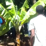 Courts Stops Transfer of Public Seal From The AG to The President’s Office.