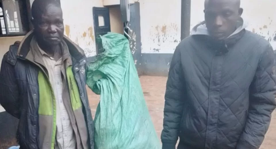 𝘗𝘩𝘰𝘵𝘰 𝘰𝘧 𝘈𝘭𝘧𝘳𝘦𝘥 𝘖𝘶𝘮𝘢 𝘔𝘢𝘱𝘦𝘴𝘢 & 𝘍𝘳𝘦𝘥𝘦𝘳𝘪𝘤𝘬 𝘌𝘨𝘦𝘴𝘢 𝘞𝘢𝘧𝘶𝘭𝘢