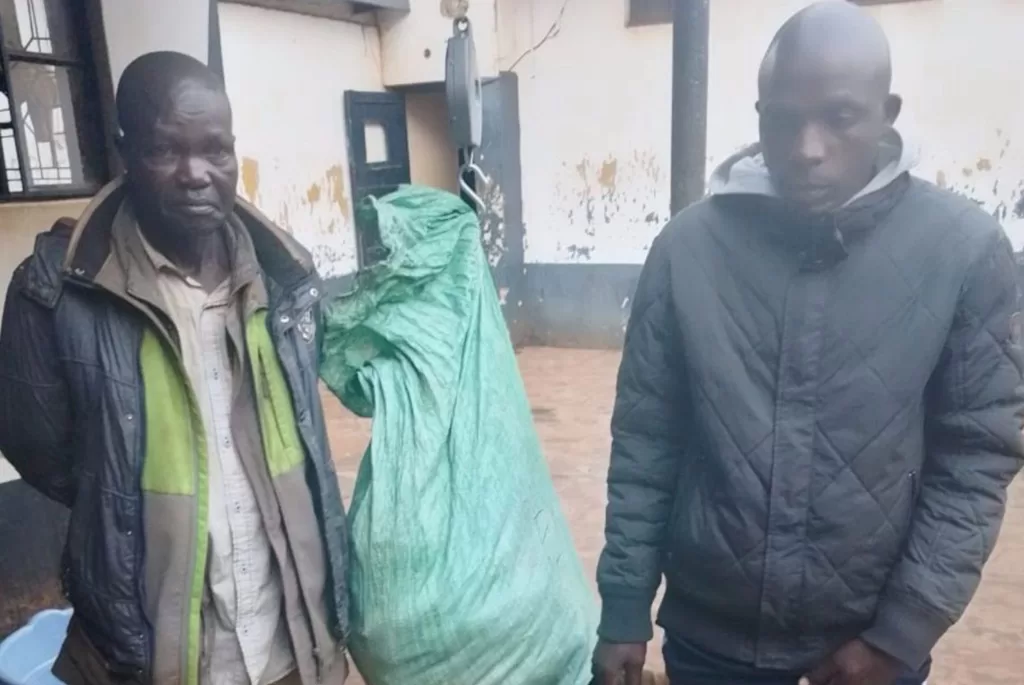 ๐๐ฉ๐ฐ๐ต๐ฐ ๐ฐ๐ง ๐๐ญ๐ง๐ณ๐ฆ๐ฅ ๐๐ถ๐ฎ๐ข ๐๐ข๐ฑ๐ฆ๐ด๐ข & ๐๐ณ๐ฆ๐ฅ๐ฆ๐ณ๐ช๐ค๐ฌ ๐๐จ๐ฆ๐ด๐ข ๐๐ข๐ง๐ถ๐ญ๐ข