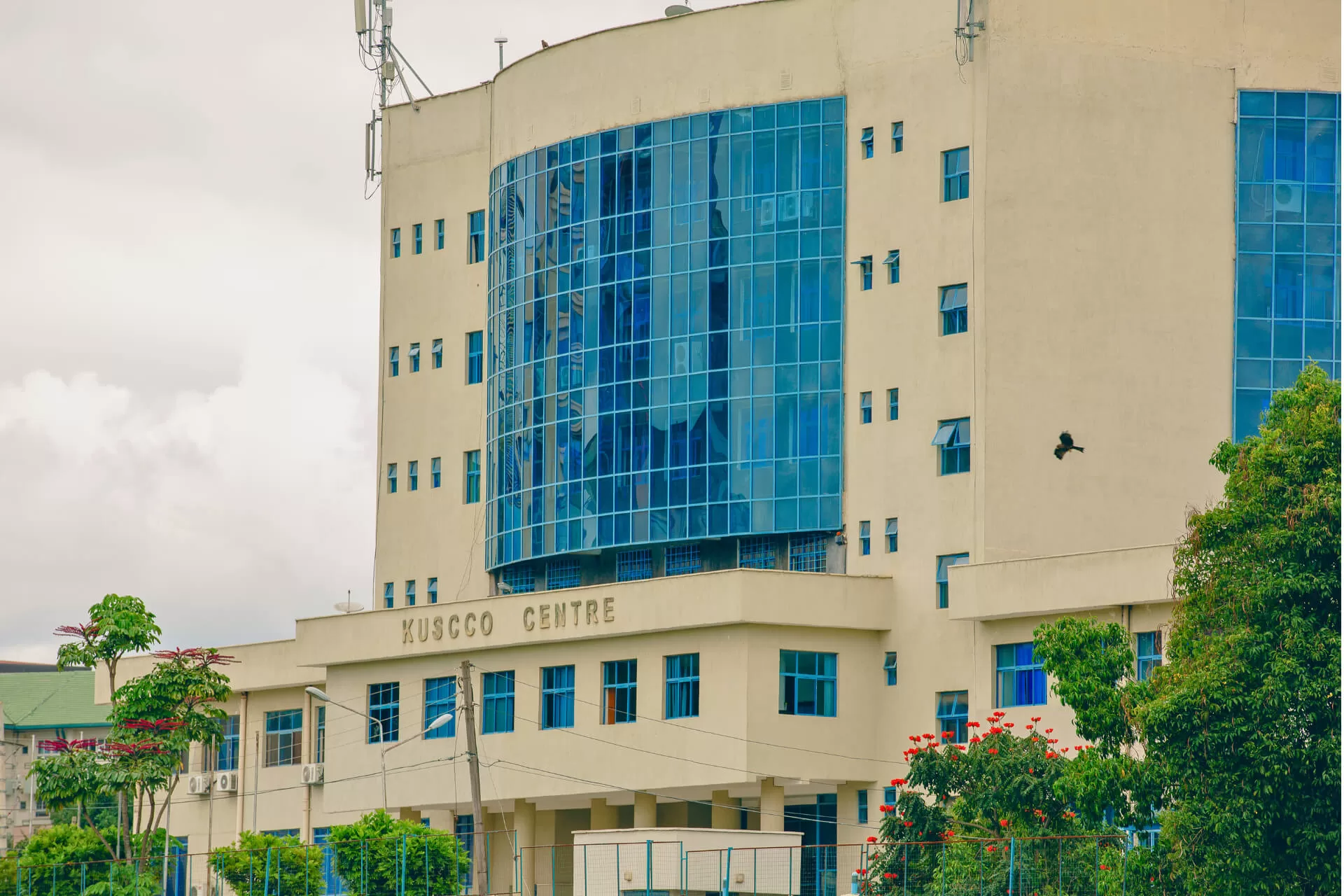 Kenya Union of Savings and Credit Co-operatives Ltd (Kuscco)