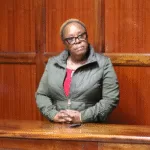 Court Defers Plea of Woman Accused of Damaging Property Worth KSh325,000 in Lang’ata