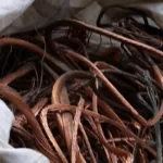 Ruto’s Panel Defends Protest Victims Compensation Plan as Legal, Compassionate and Accountable