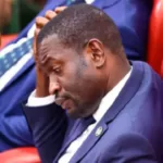 Sarah Wairimu Fails in Bid to Remove Judge in Tob Cohen Murder Trial